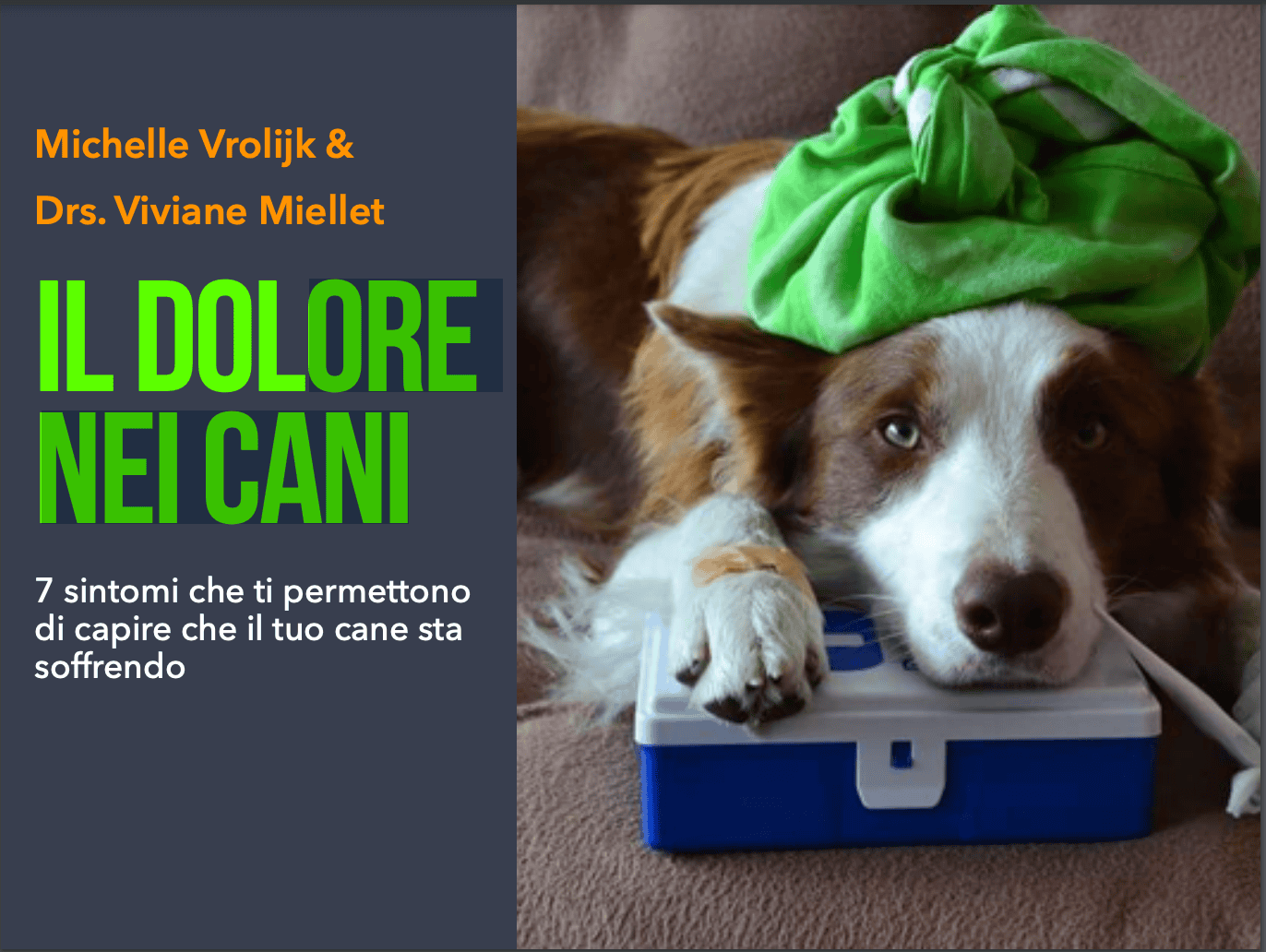 IL DOLORE NEI CANI