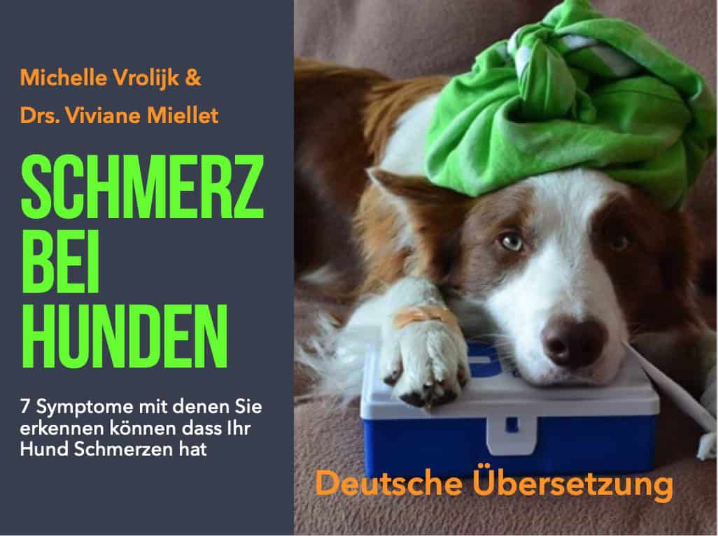 E-book Schmerz bei hunden